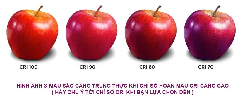 Chỉ số hoàn màu (CRI)