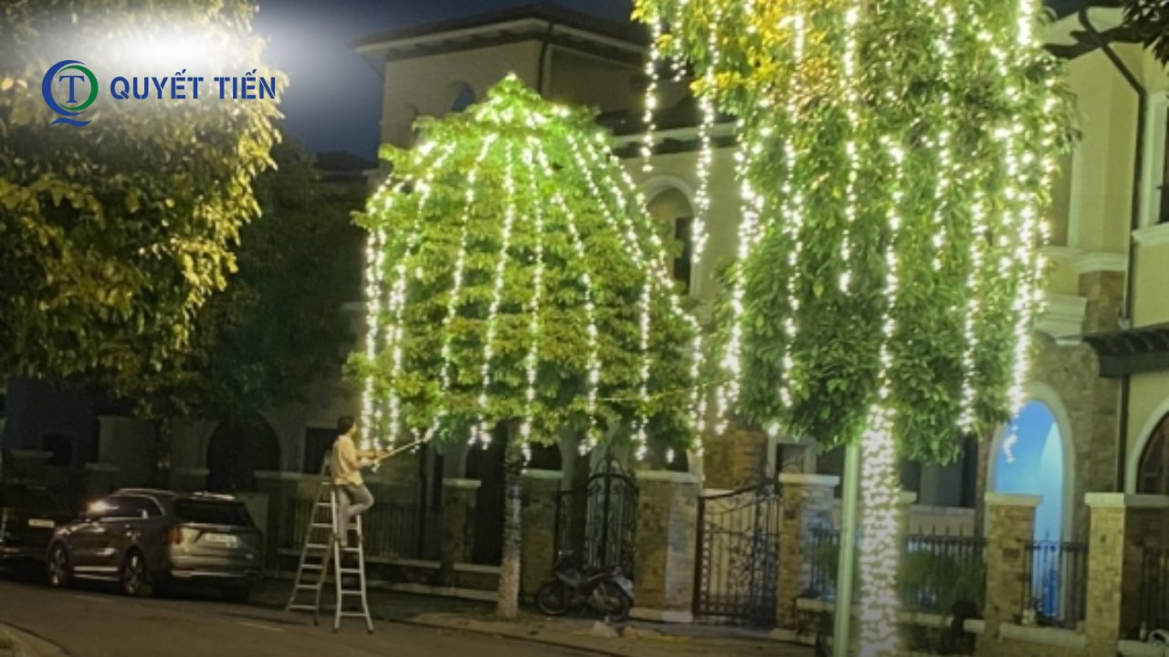 Đèn LED dây trang trí cây 