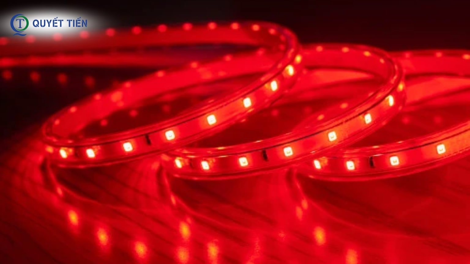 Đèn LED dây Rạng Đông